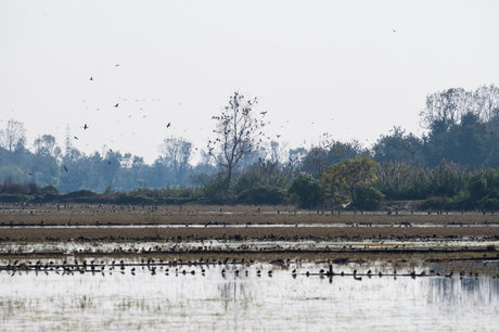 زیباترین جاذبه توریستی مازندران را در فریدونکنار ببینید